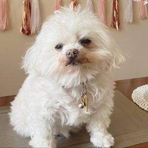 Meet your Posher, Julia